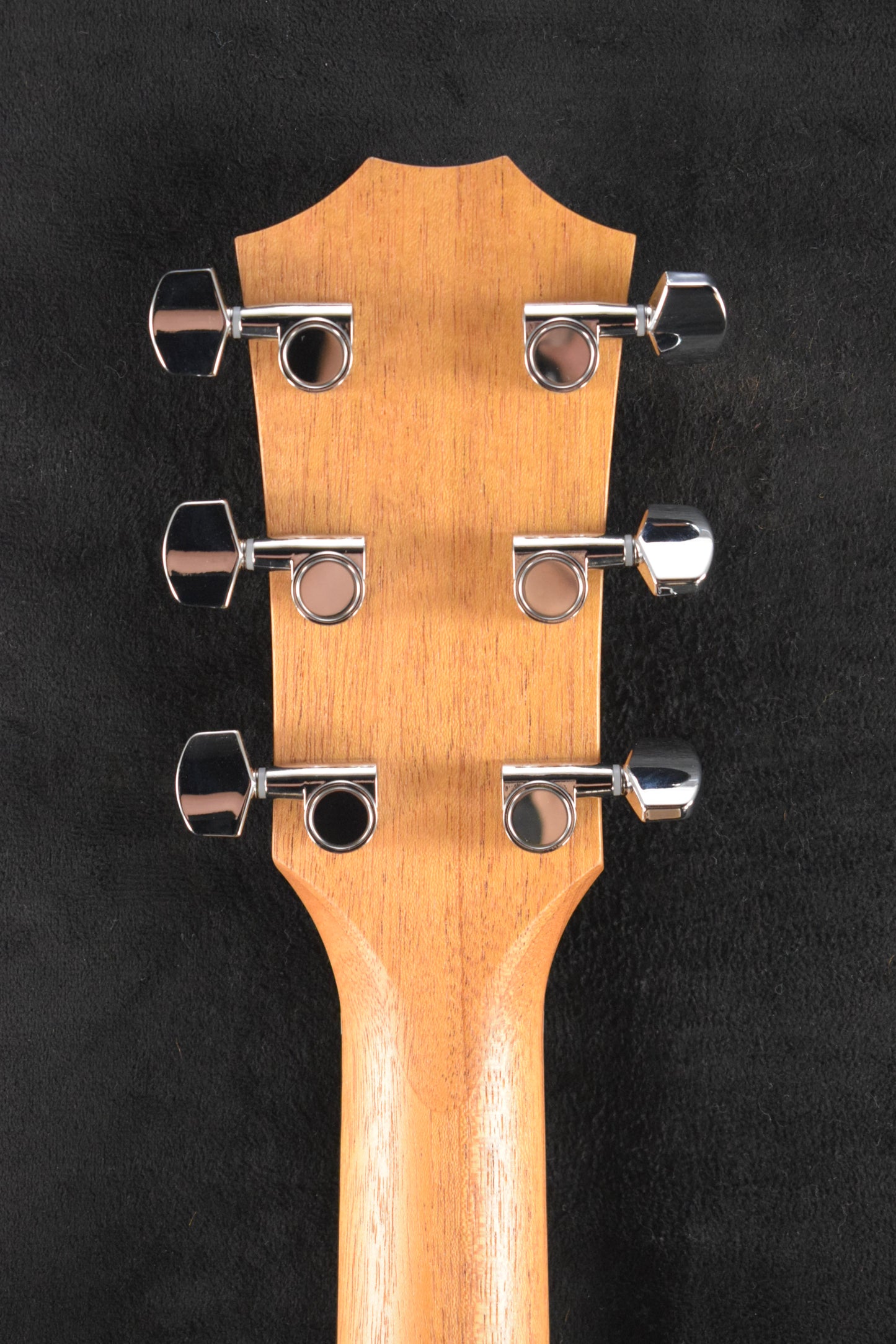 Taylor Academy 22e