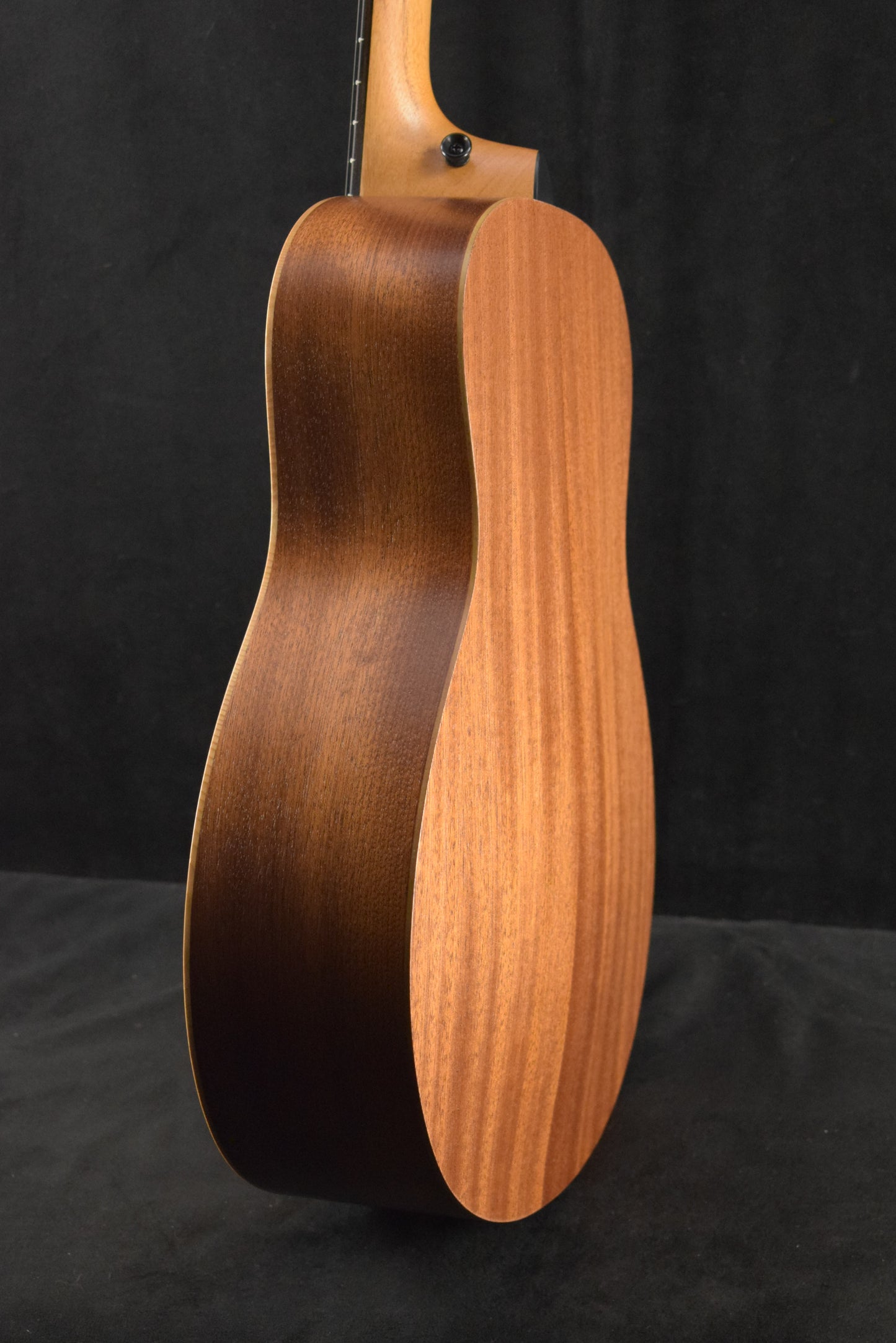 Taylor GS Mini