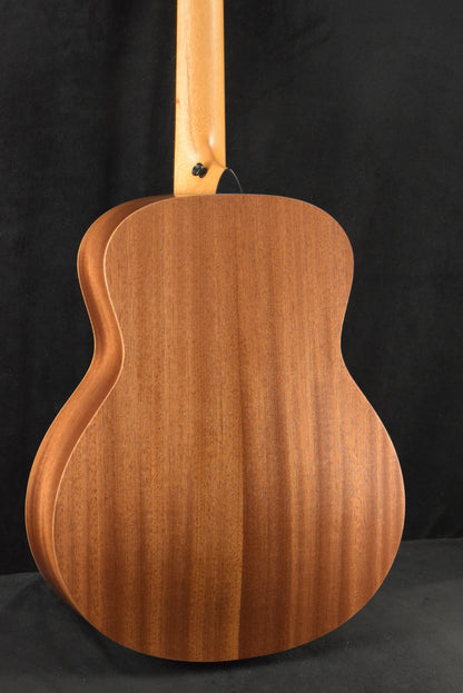 Taylor GS Mini