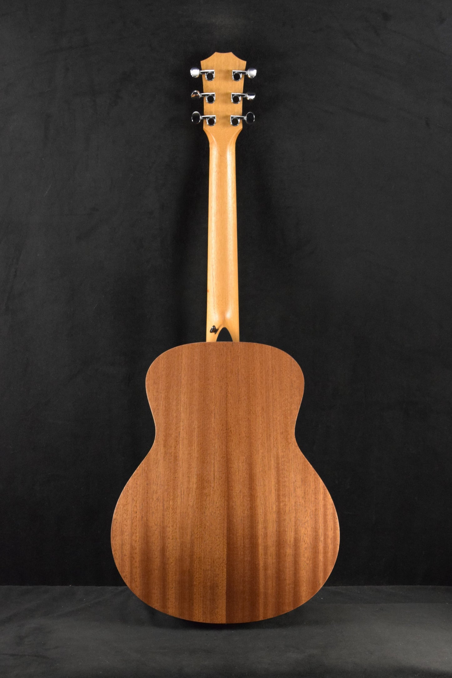 Taylor GS Mini
