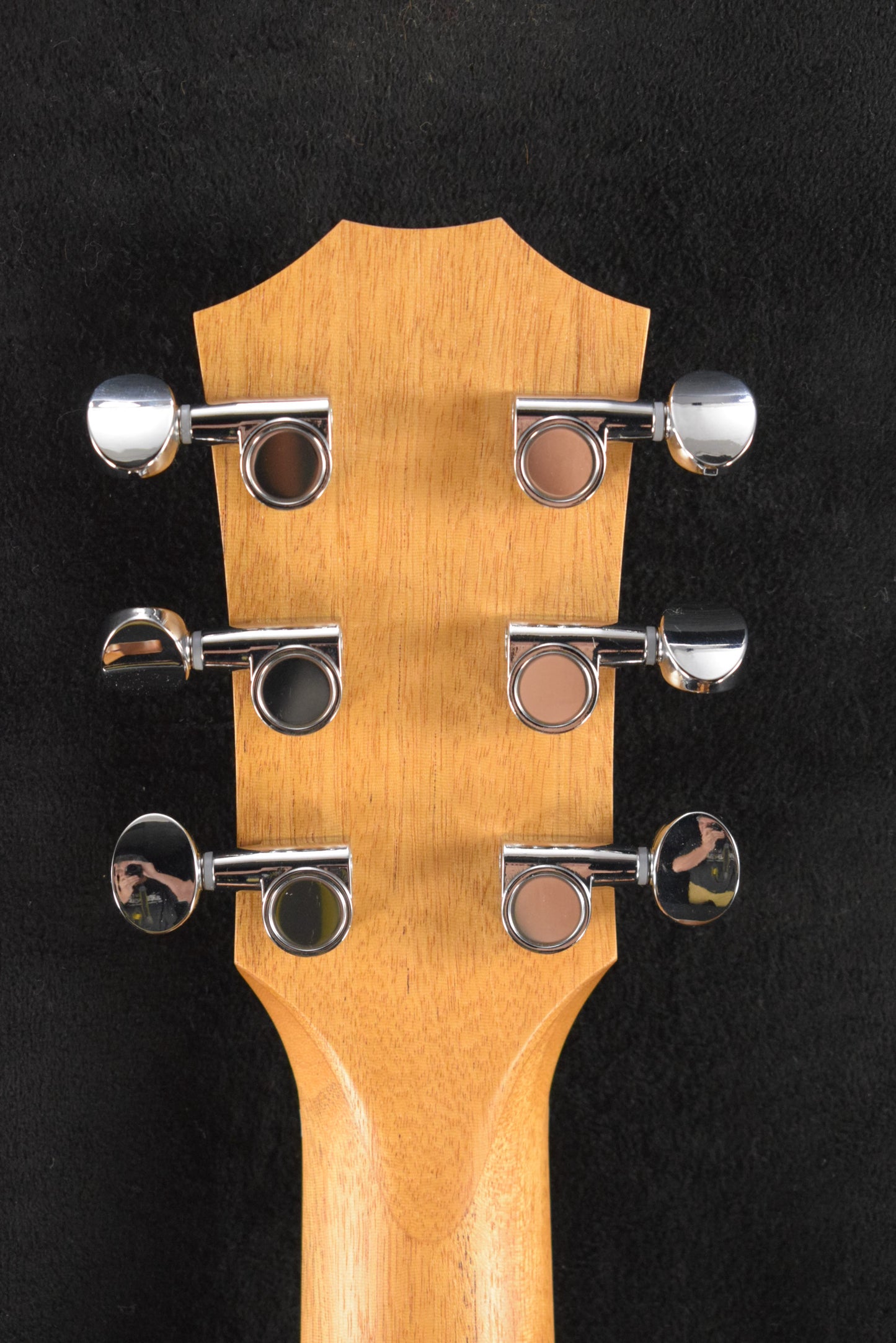 Taylor GS Mini
