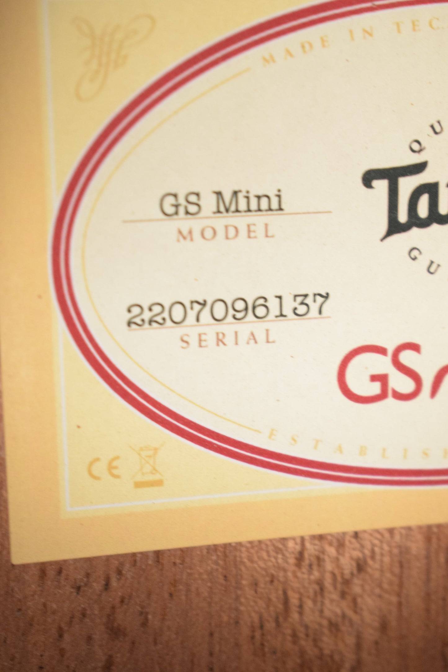 Taylor GS Mini