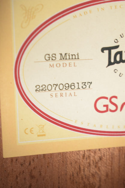 Taylor GS Mini