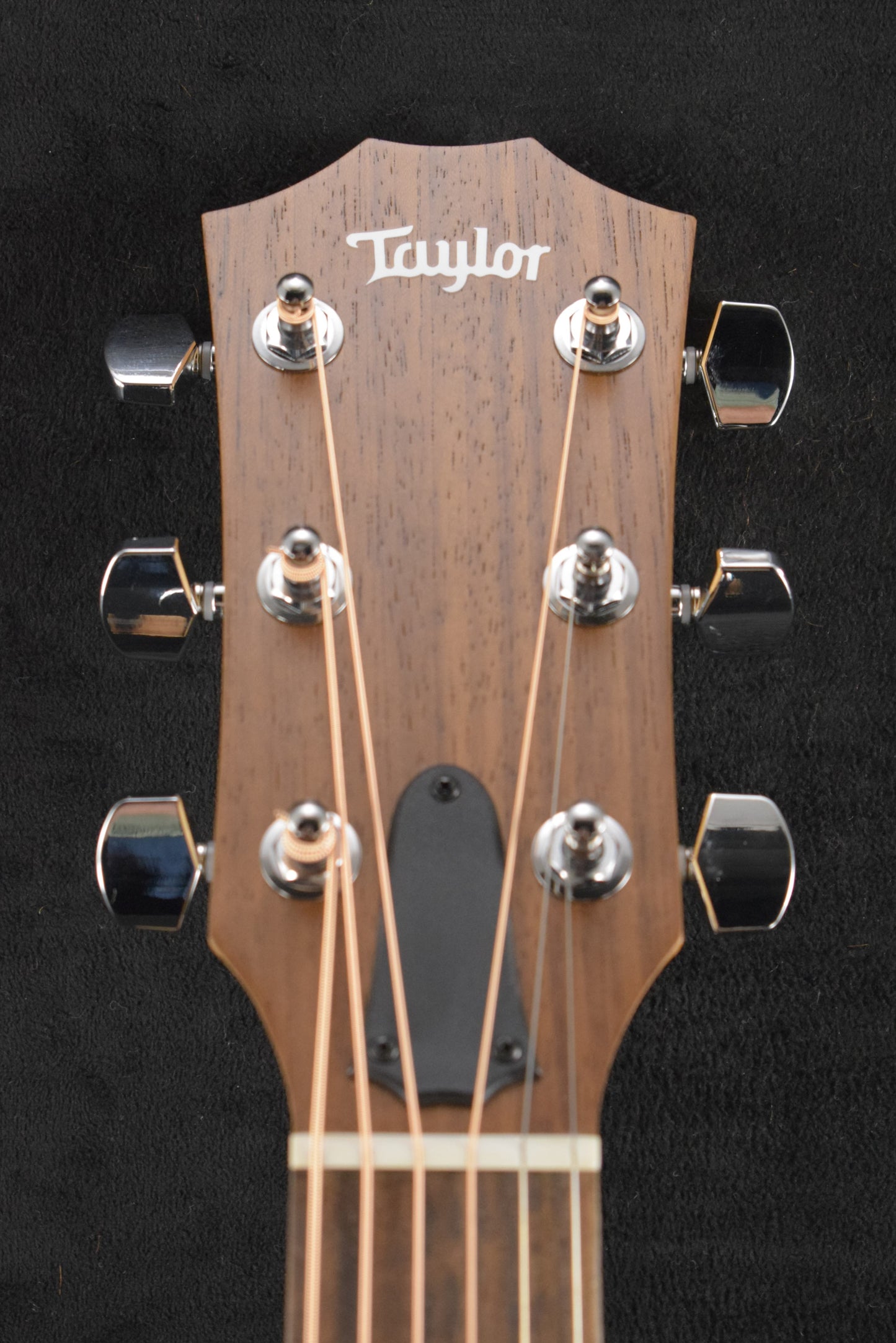 Taylor Academy 12e Natural