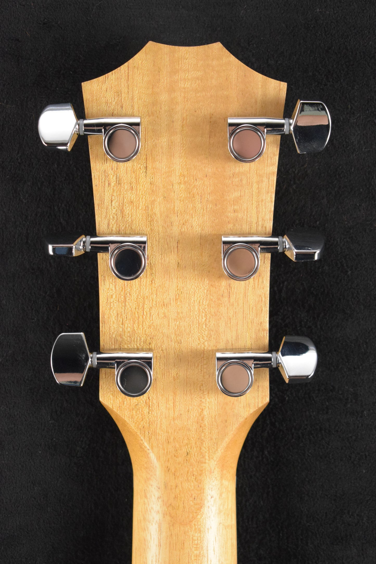 Taylor Academy 12e Natural