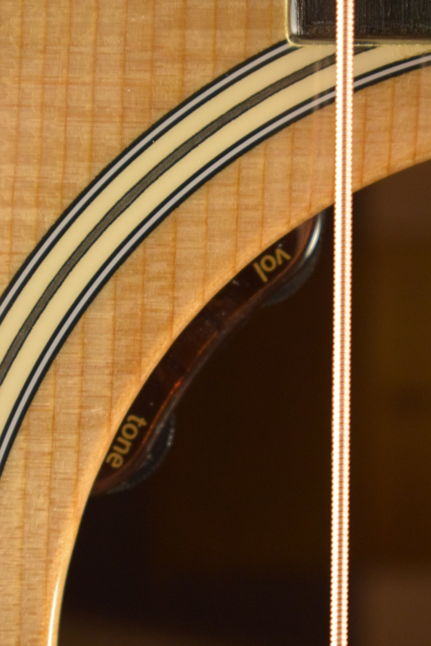 Taylor Gold Label 717e Natural
