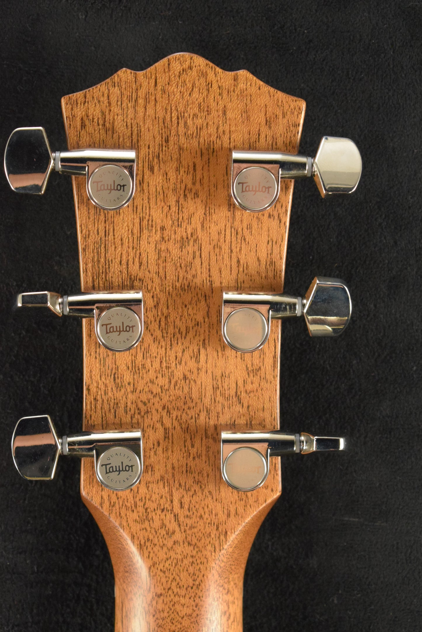 Taylor Gold Label 717e Natural