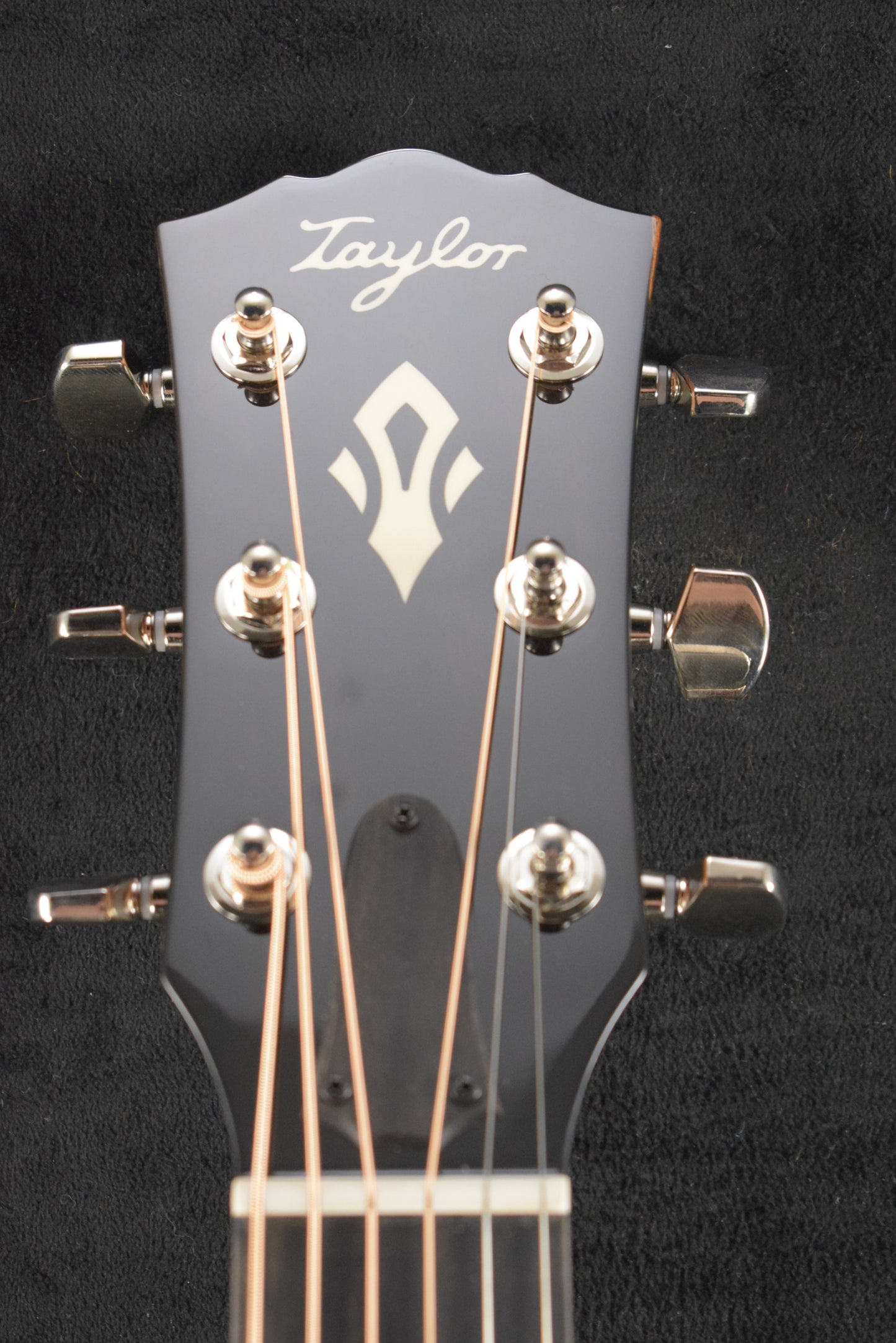 Taylor Gold Label 717e SB Sunburst w/Firestripe Pickguard