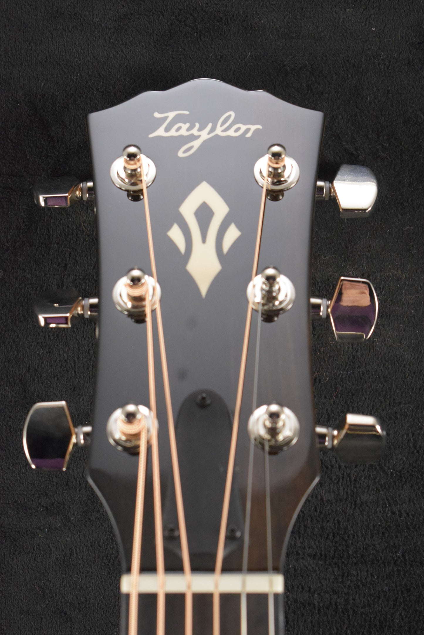 Taylor Gold Label 717e Natural