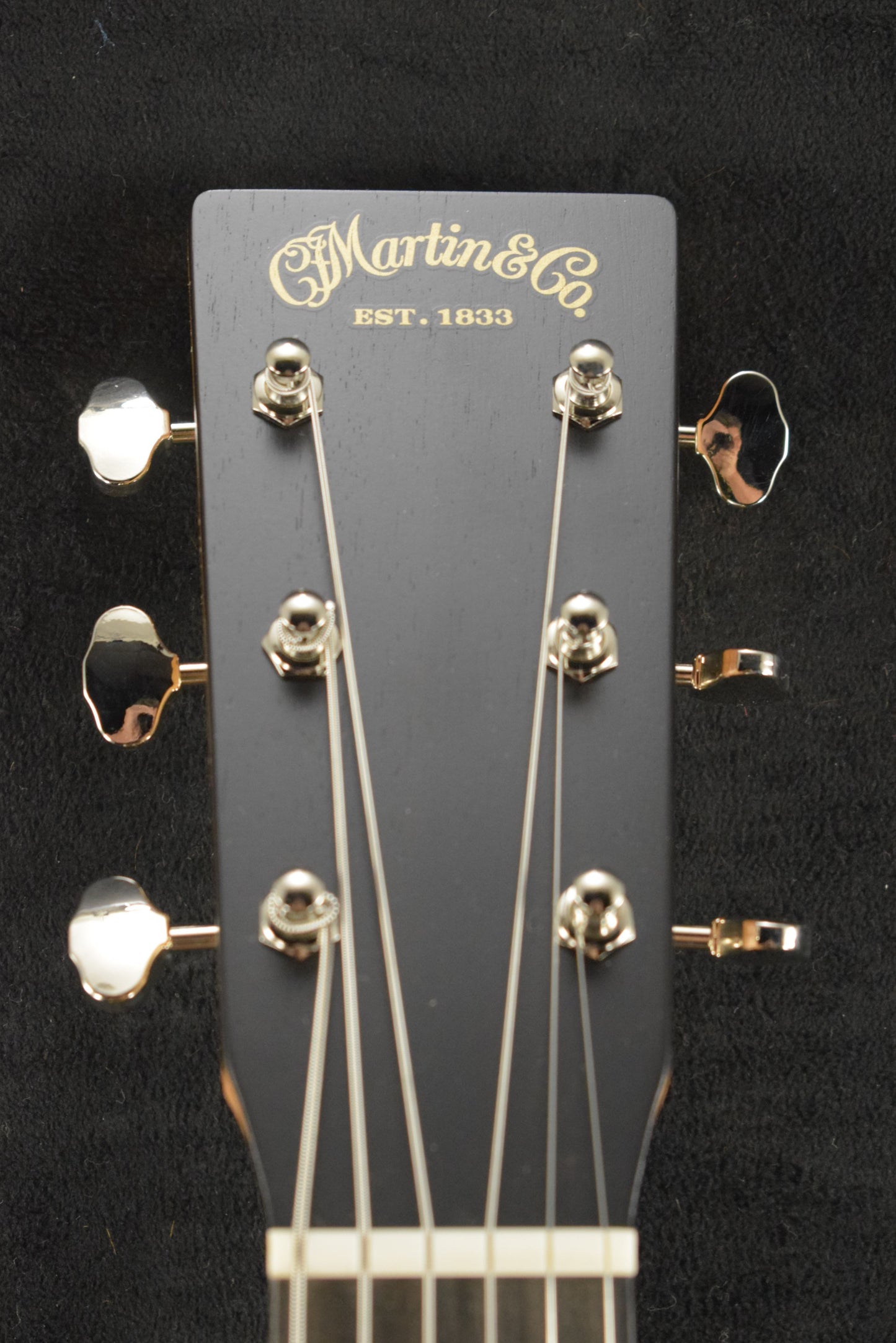 Martin D Biosphere® III Dreadnought Robert Goetzl Polar Bears