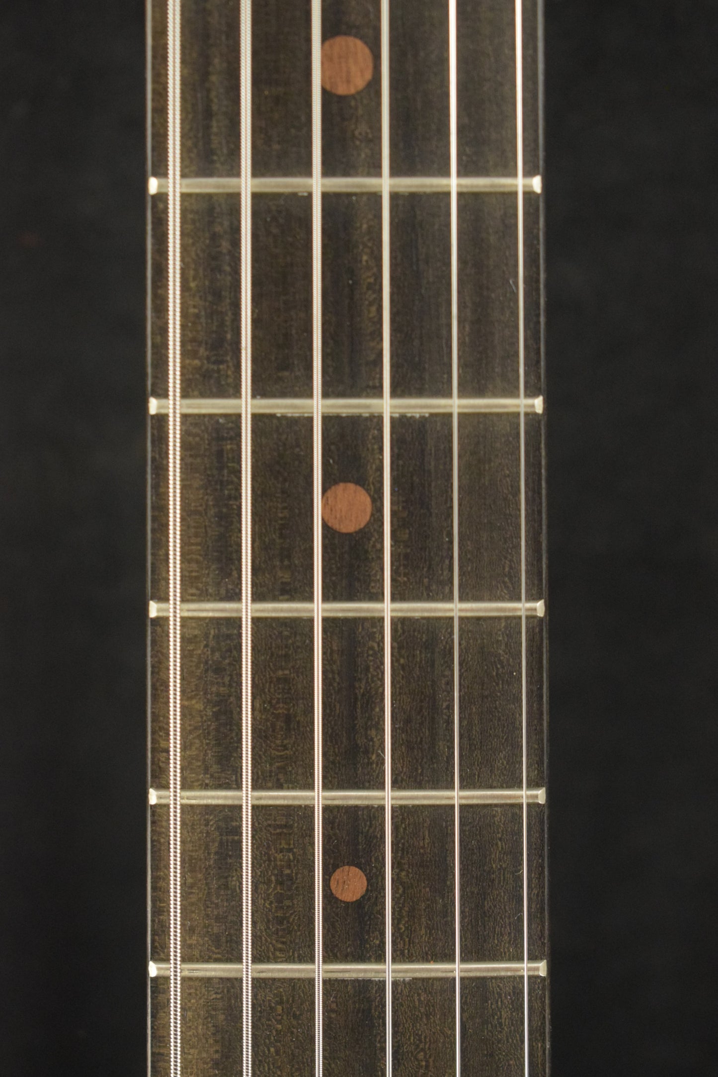 Martin D Biosphere® III Dreadnought Robert Goetzl Polar Bears