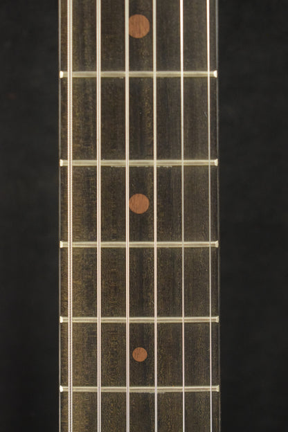 Martin D Biosphere® III Dreadnought Robert Goetzl Polar Bears