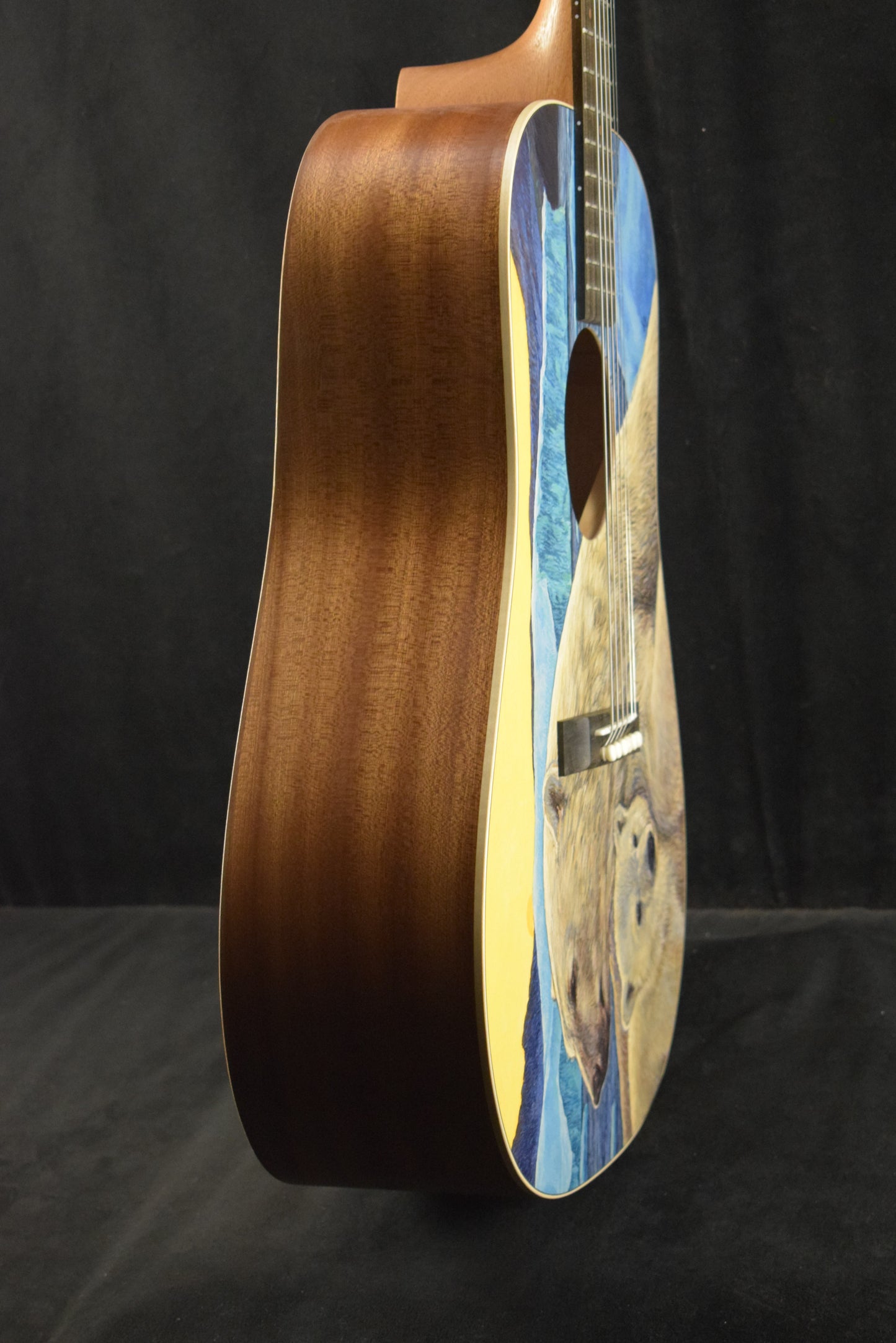 Martin D Biosphere® III Dreadnought Robert Goetzl Polar Bears