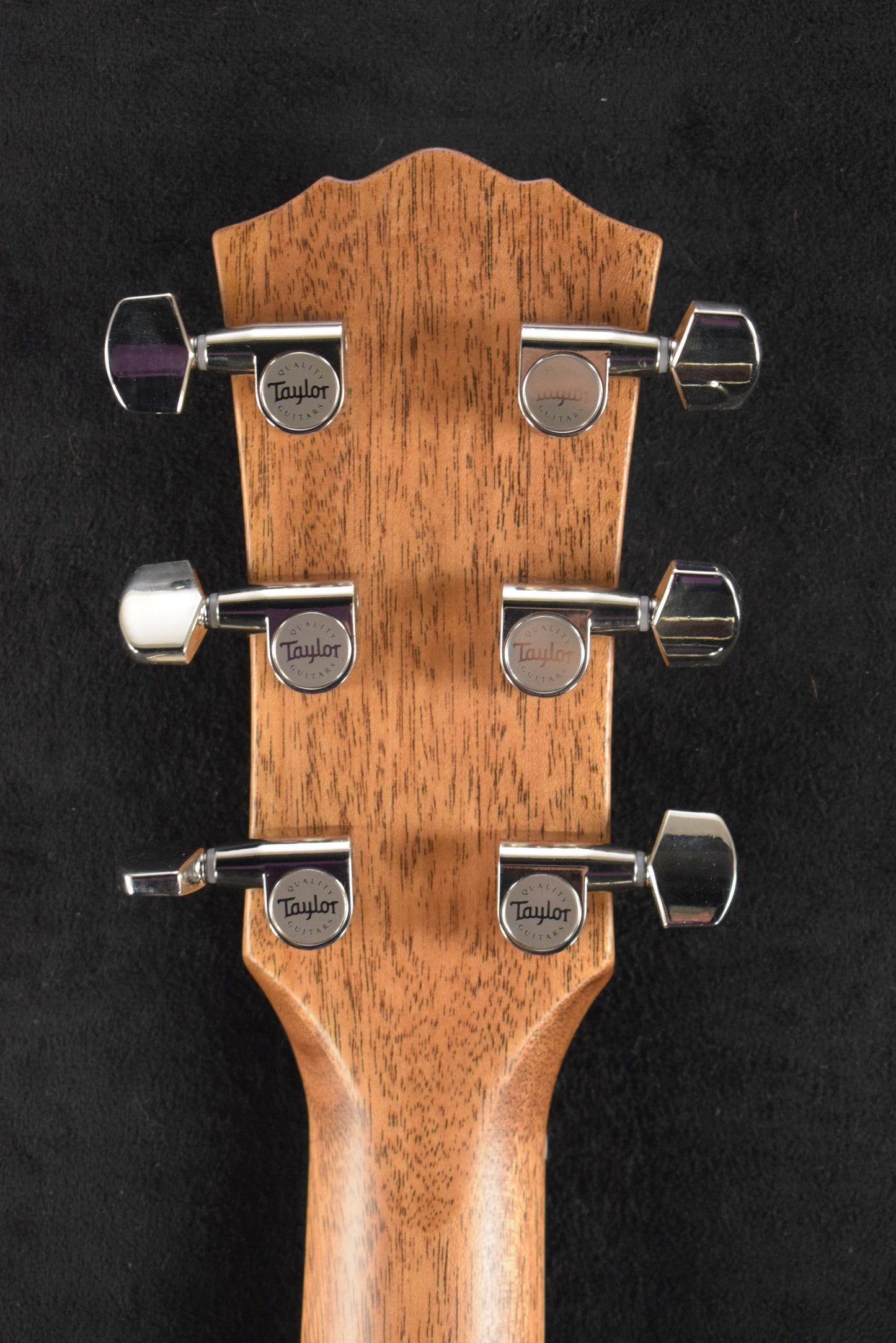 Taylor Gold Label 717e Natural