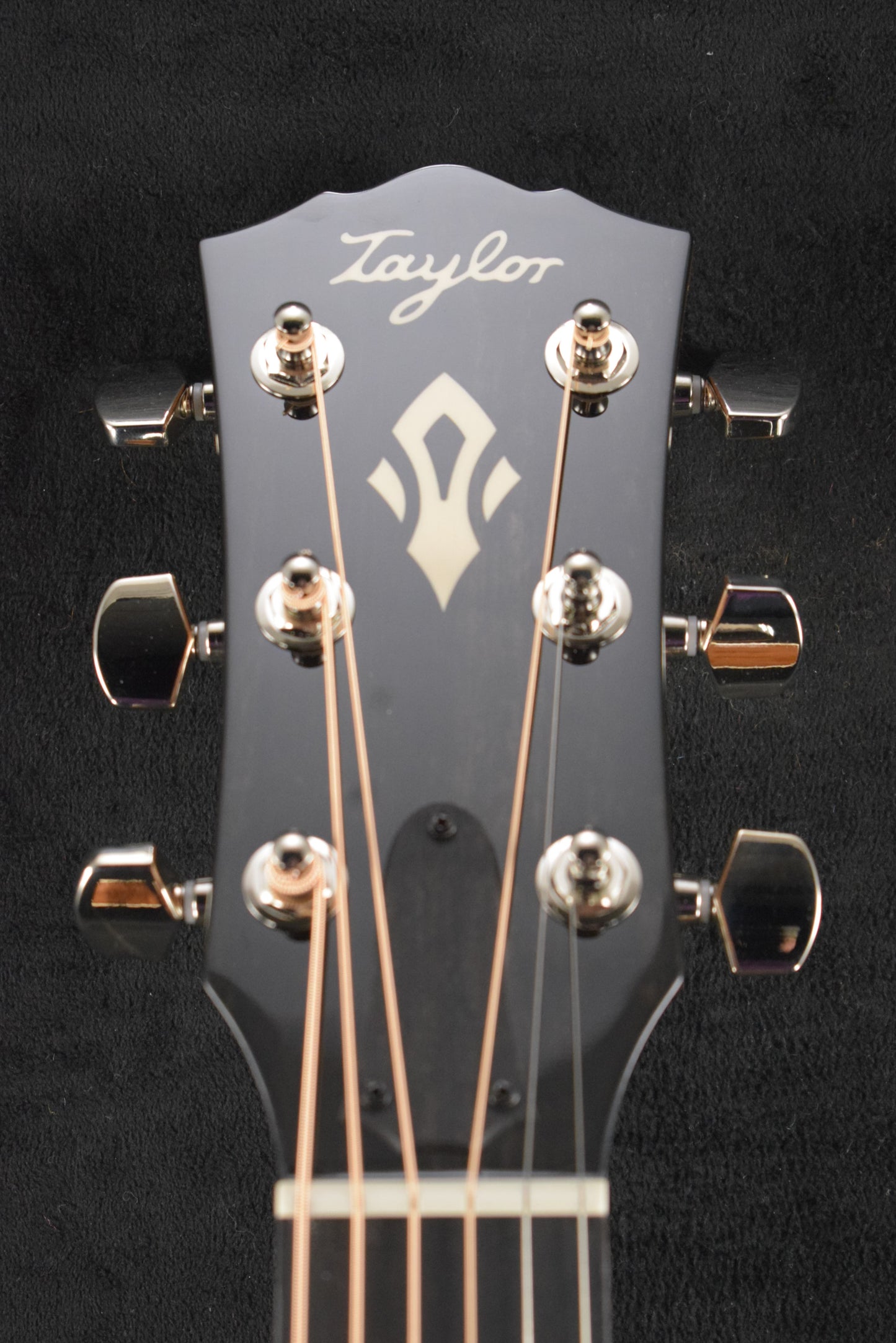 Taylor Gold Label 517e