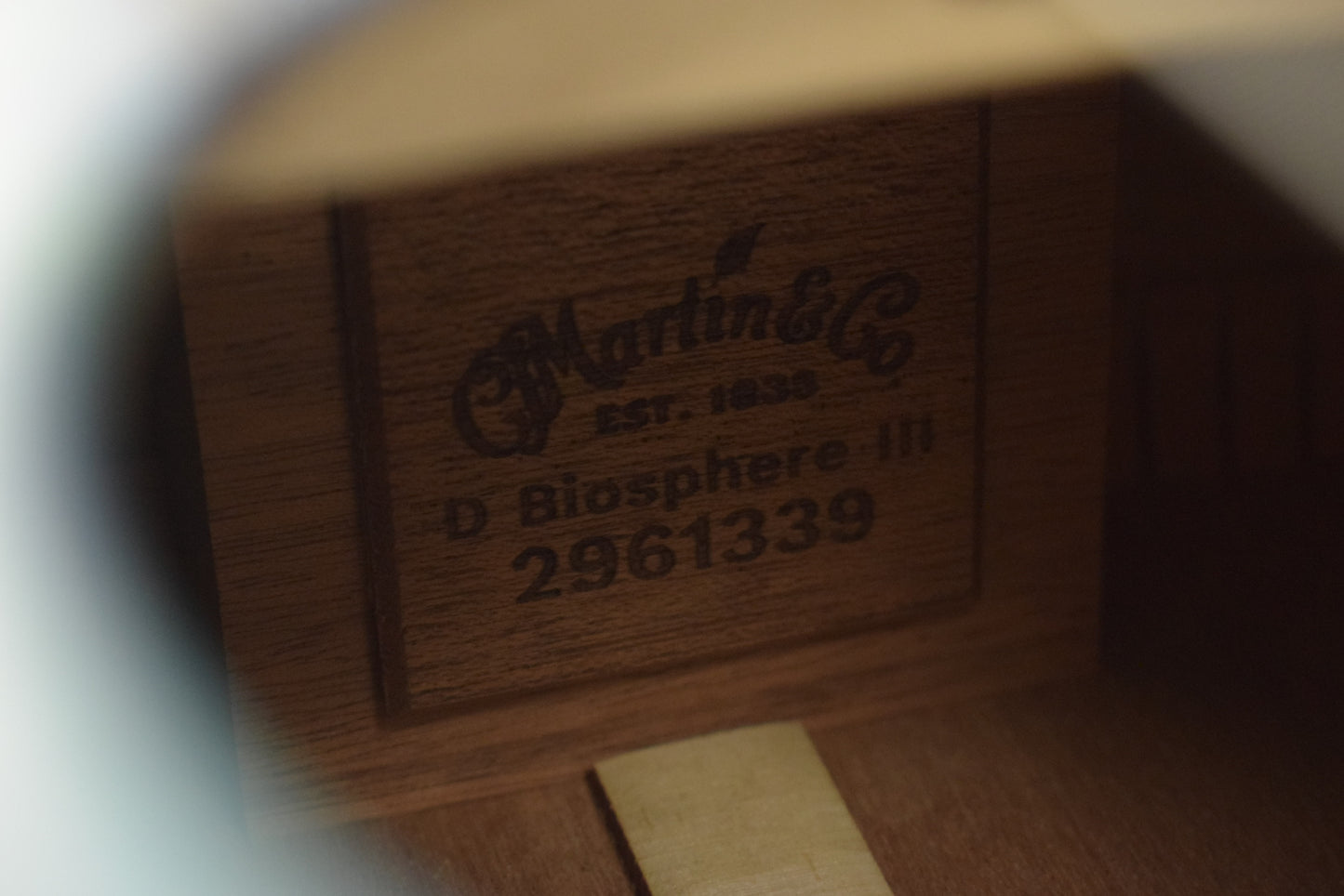 Martin D Biosphere® III Dreadnought Robert Goetzl Polar Bears