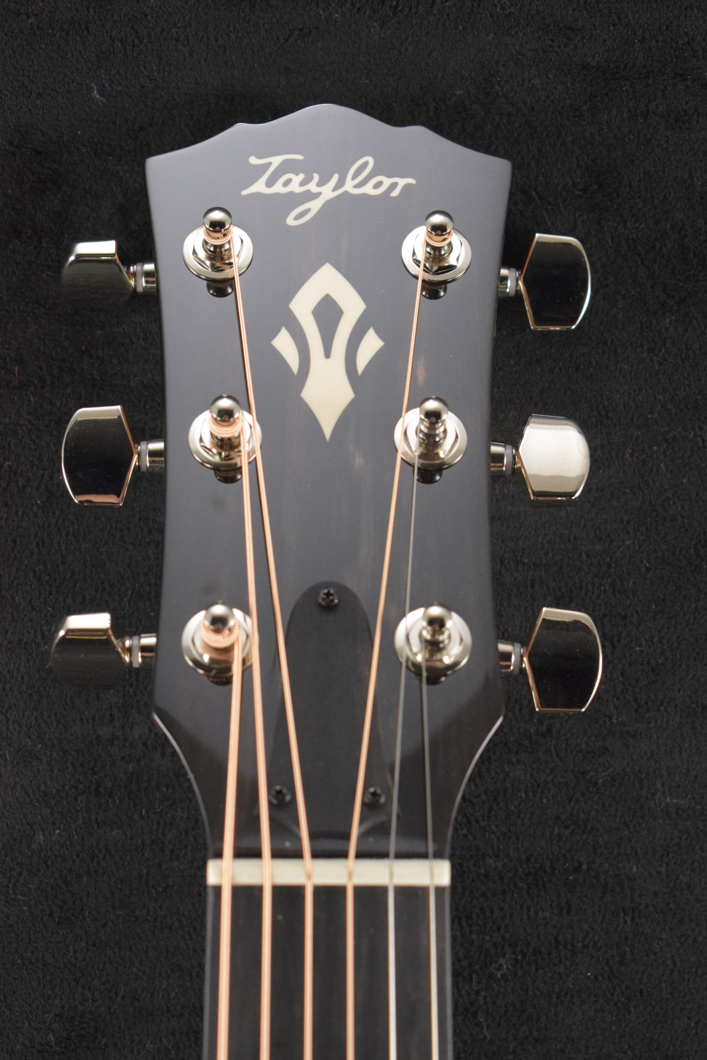Taylor Gold Label 714e Natural
