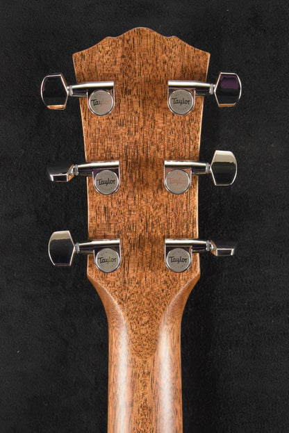 Taylor Gold Label 517e