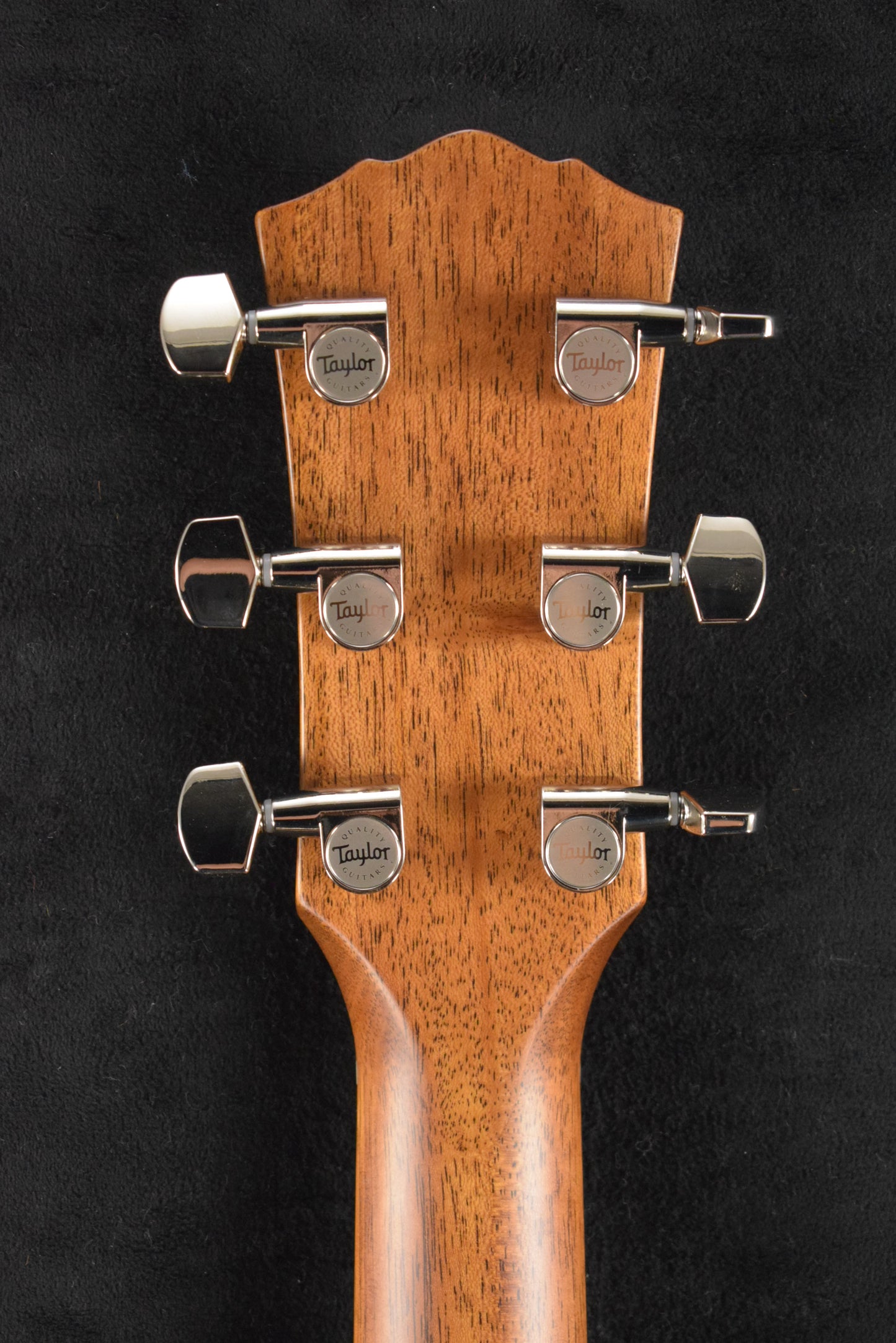 Taylor Gold Label 714e Natural
