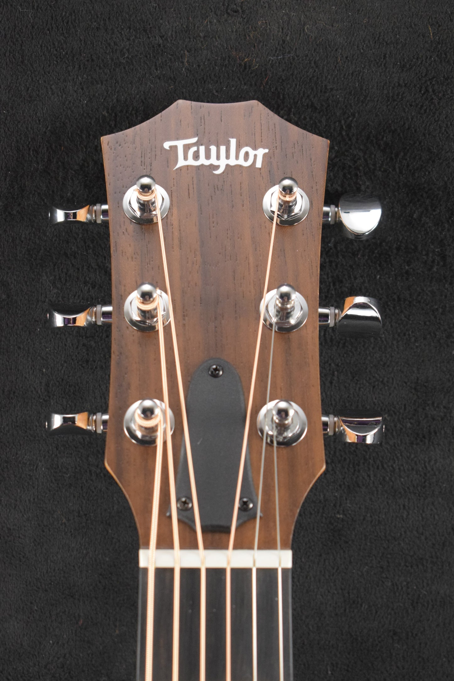 Taylor ZEDD GS Mini Telos Special Edition
