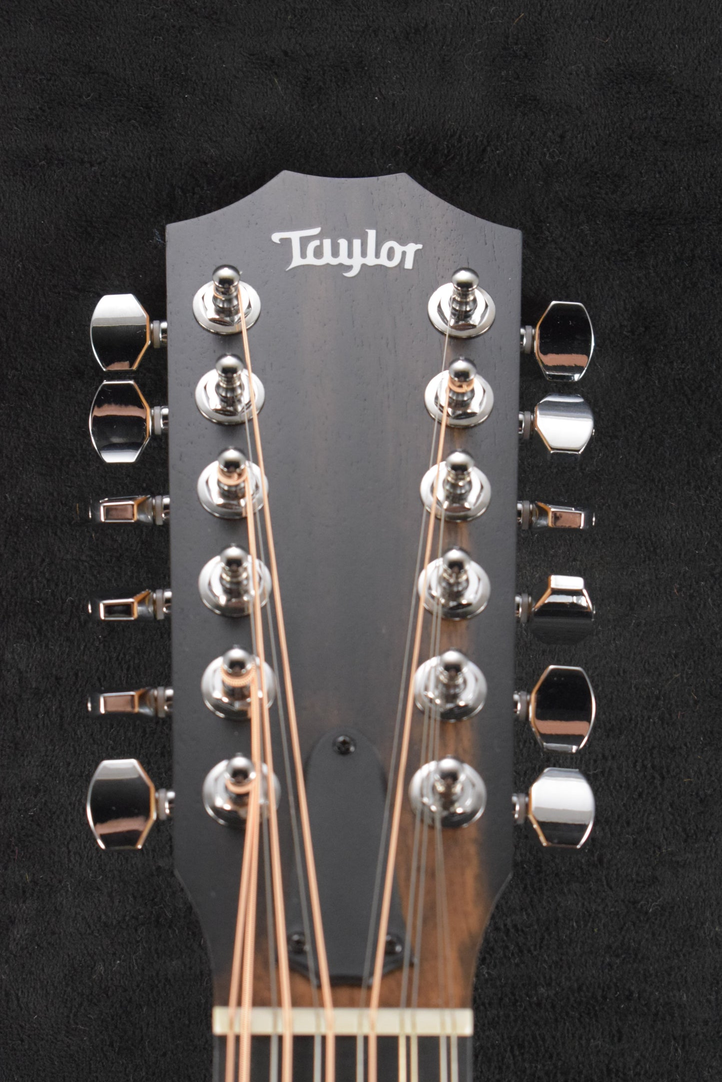 Taylor 150ce 12-String