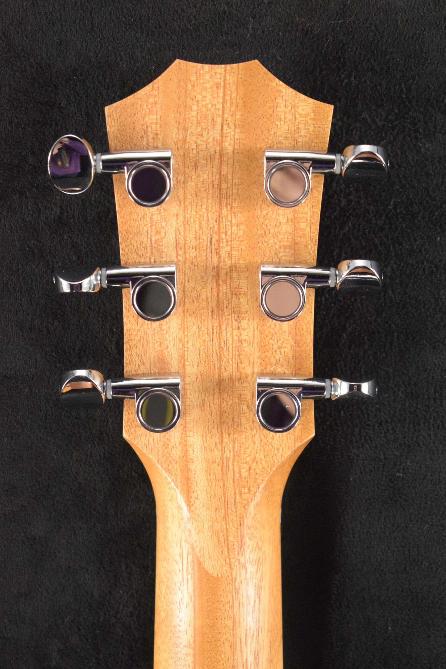 Taylor ZEDD GS Mini Telos Special Edition