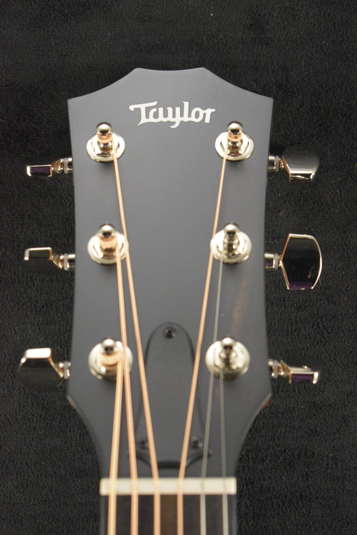 Taylor 414ce Studio Natural
