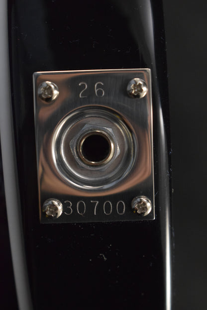 Rickenbacker 350V63 Liverpool Jetglo