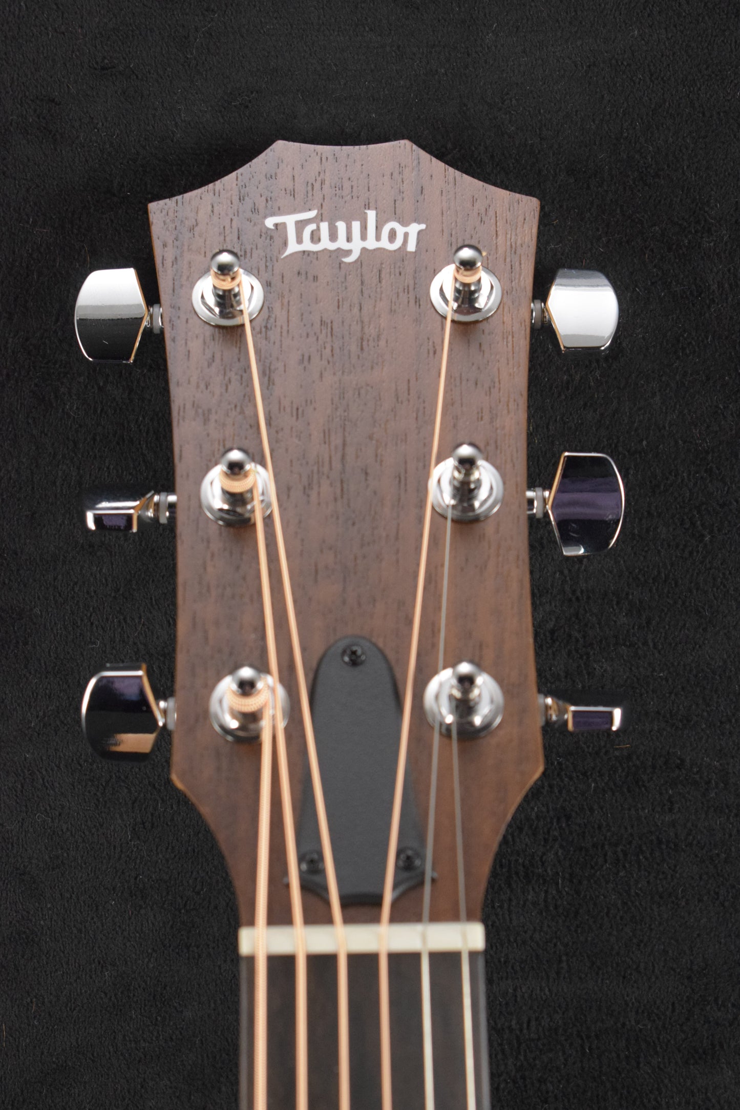 Taylor Academy 10e Dreadnought Walnut/Torrefied Spruce Natural