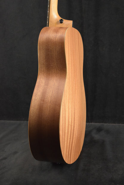 Taylor GS Mini Mahogany
