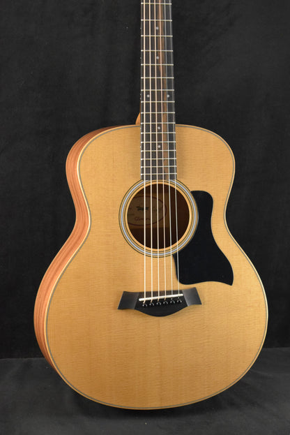 Taylor GS Mini