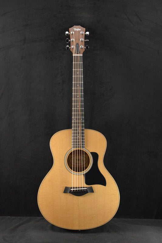 Taylor GS Mini