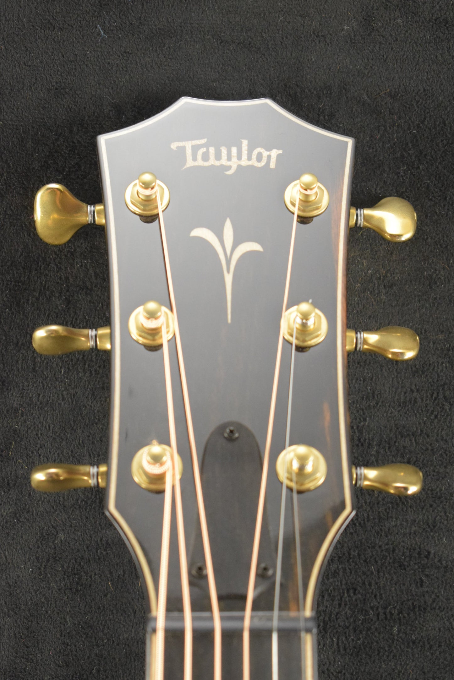 Taylor K26ce Shaded Edge Burst