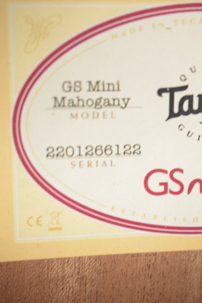 Taylor GS Mini Mahogany