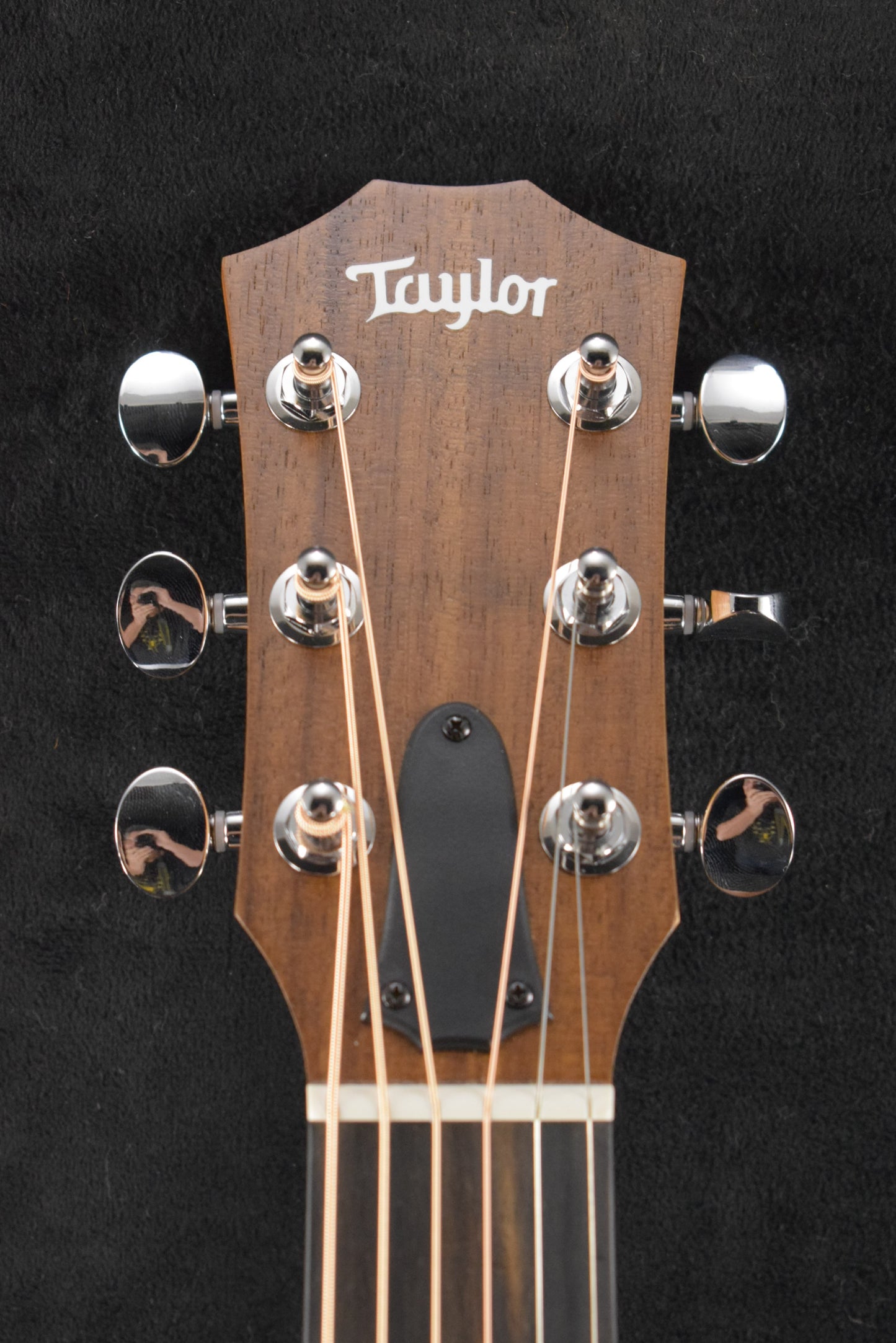 Taylor GS Mini