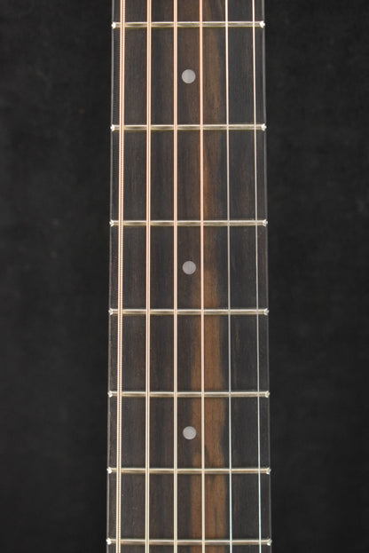 Taylor GS Mini