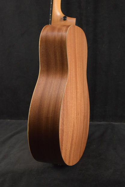 Taylor GS Mini