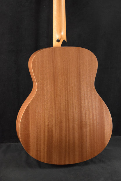 Taylor GS Mini