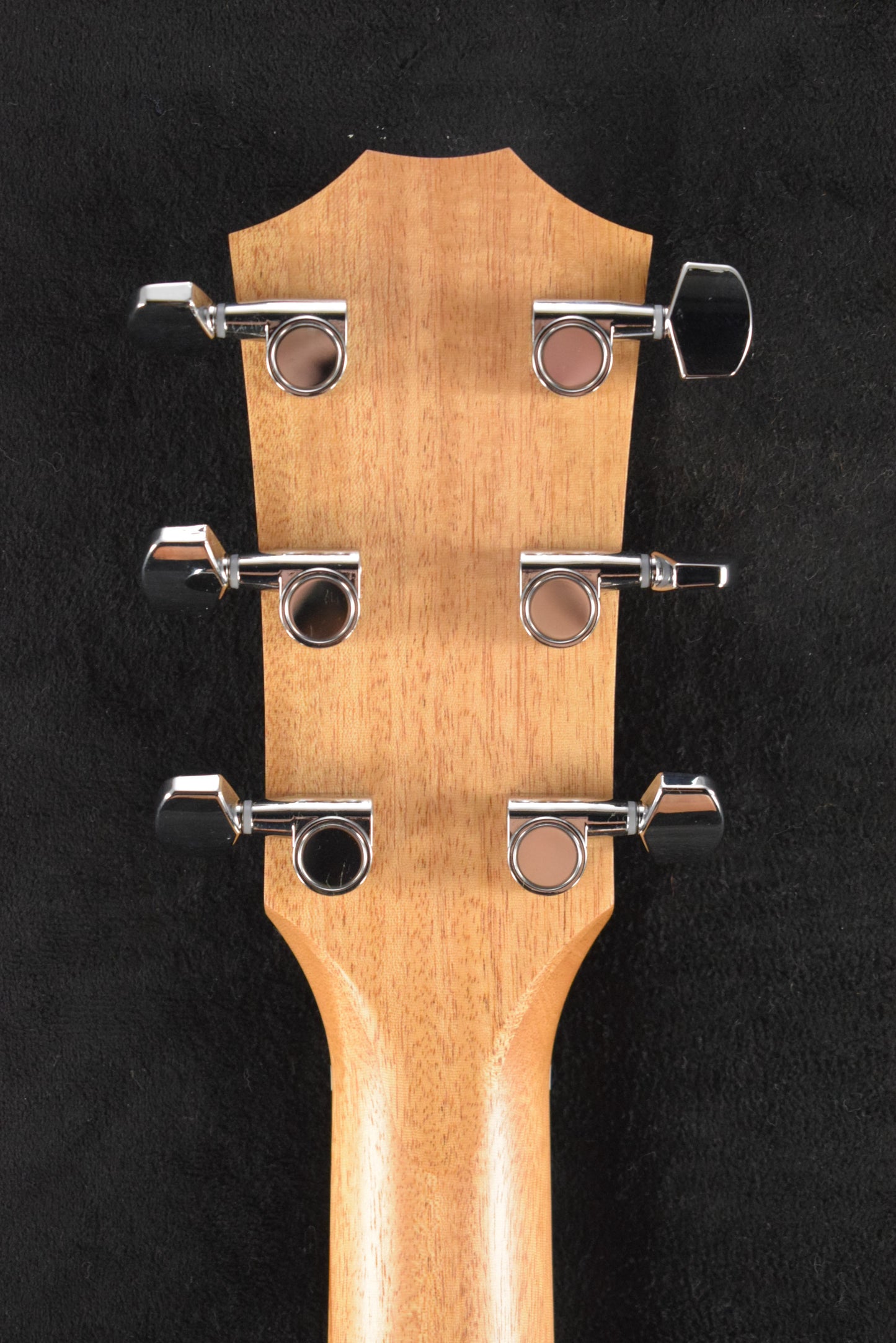Taylor 114ce Sapele/Torrefied Spruce Natural