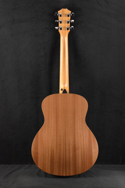 Taylor GS Mini