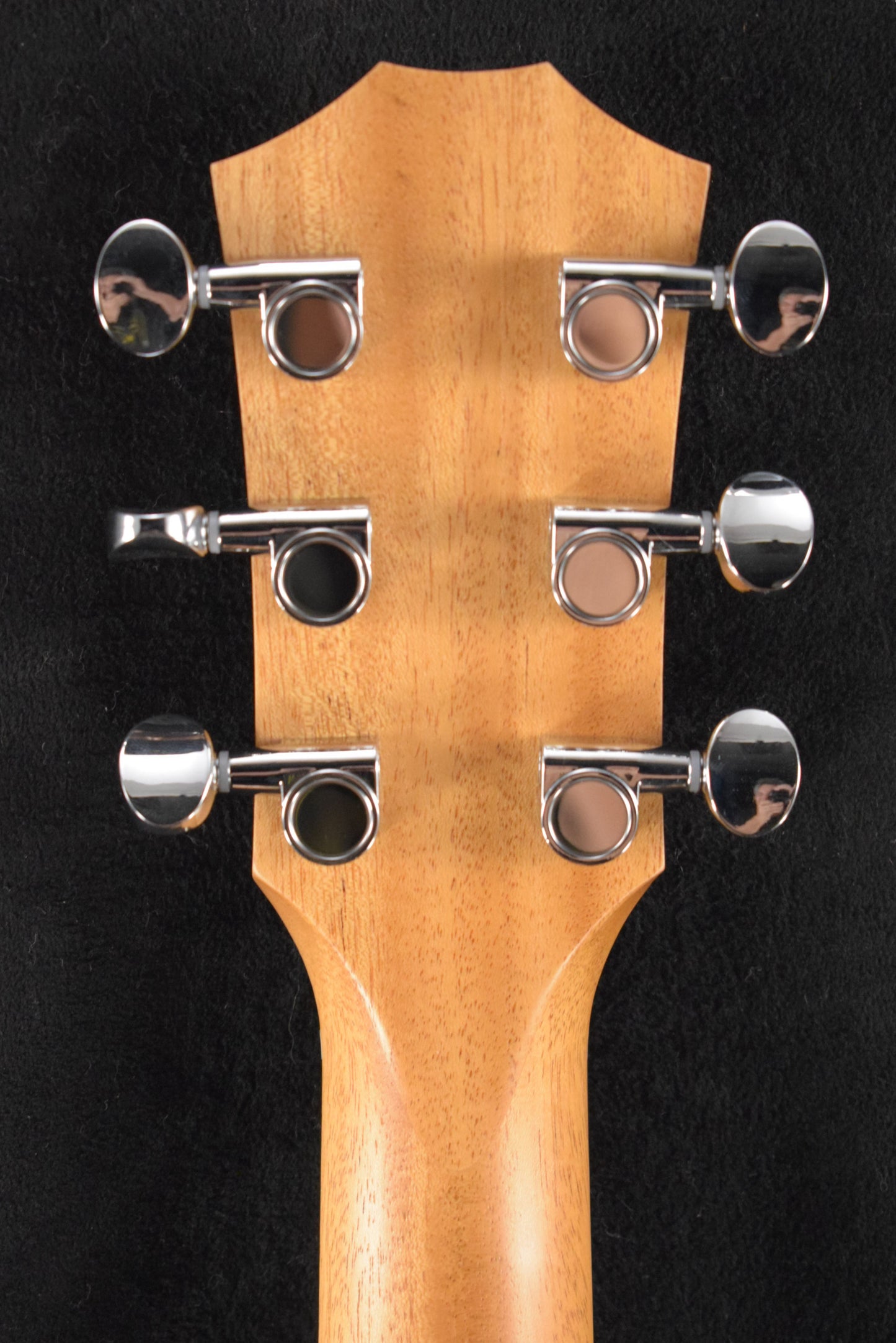 Taylor GS Mini