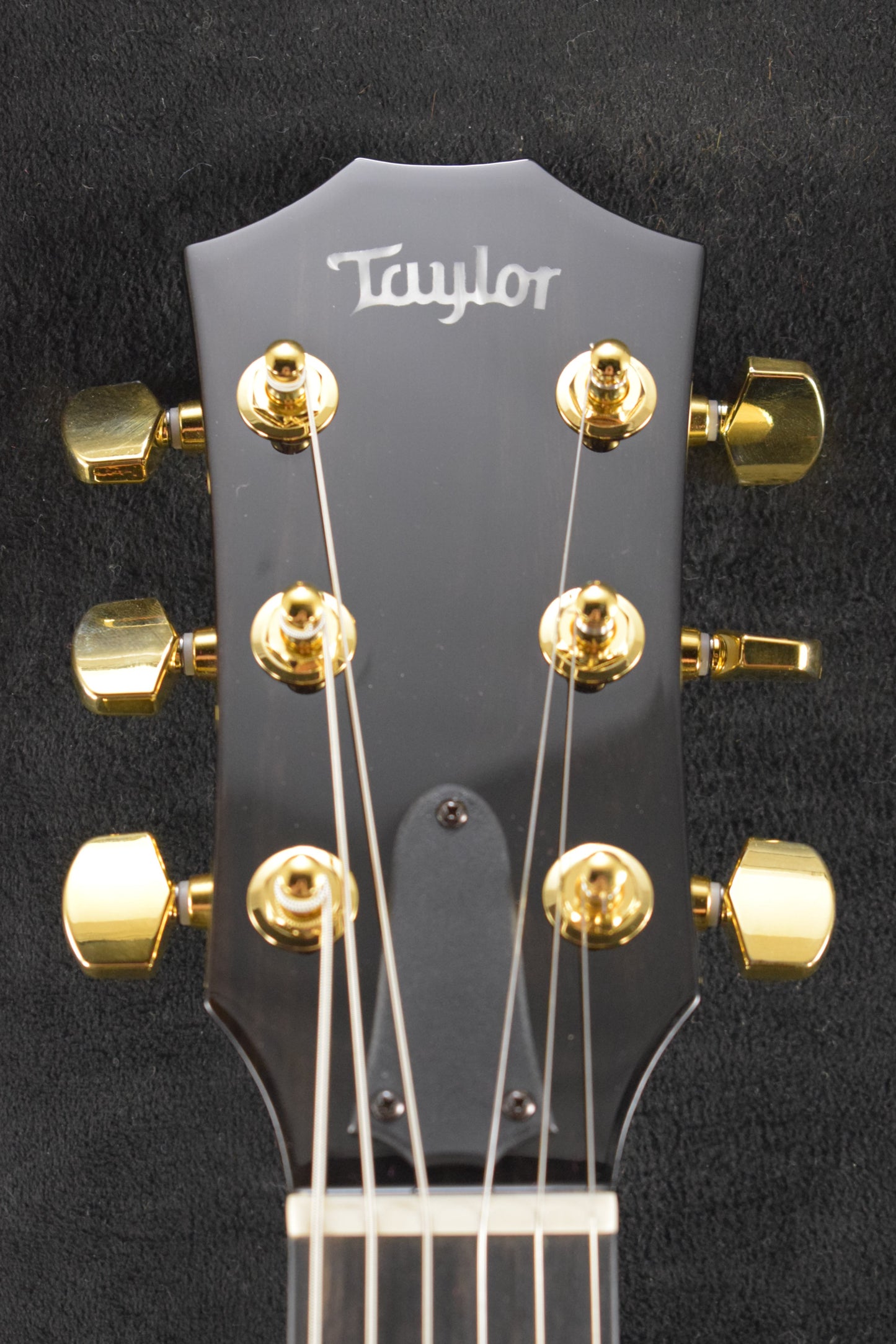 Taylor T5z Custom Koa