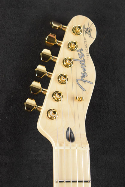 Fender Richie Kotzen Telecaster Brown Sunburst Maple Fingerboard