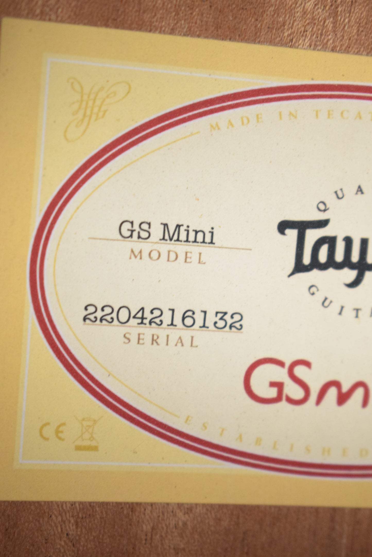 Taylor GS Mini