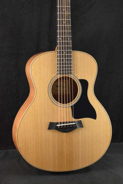 Taylor GS Mini