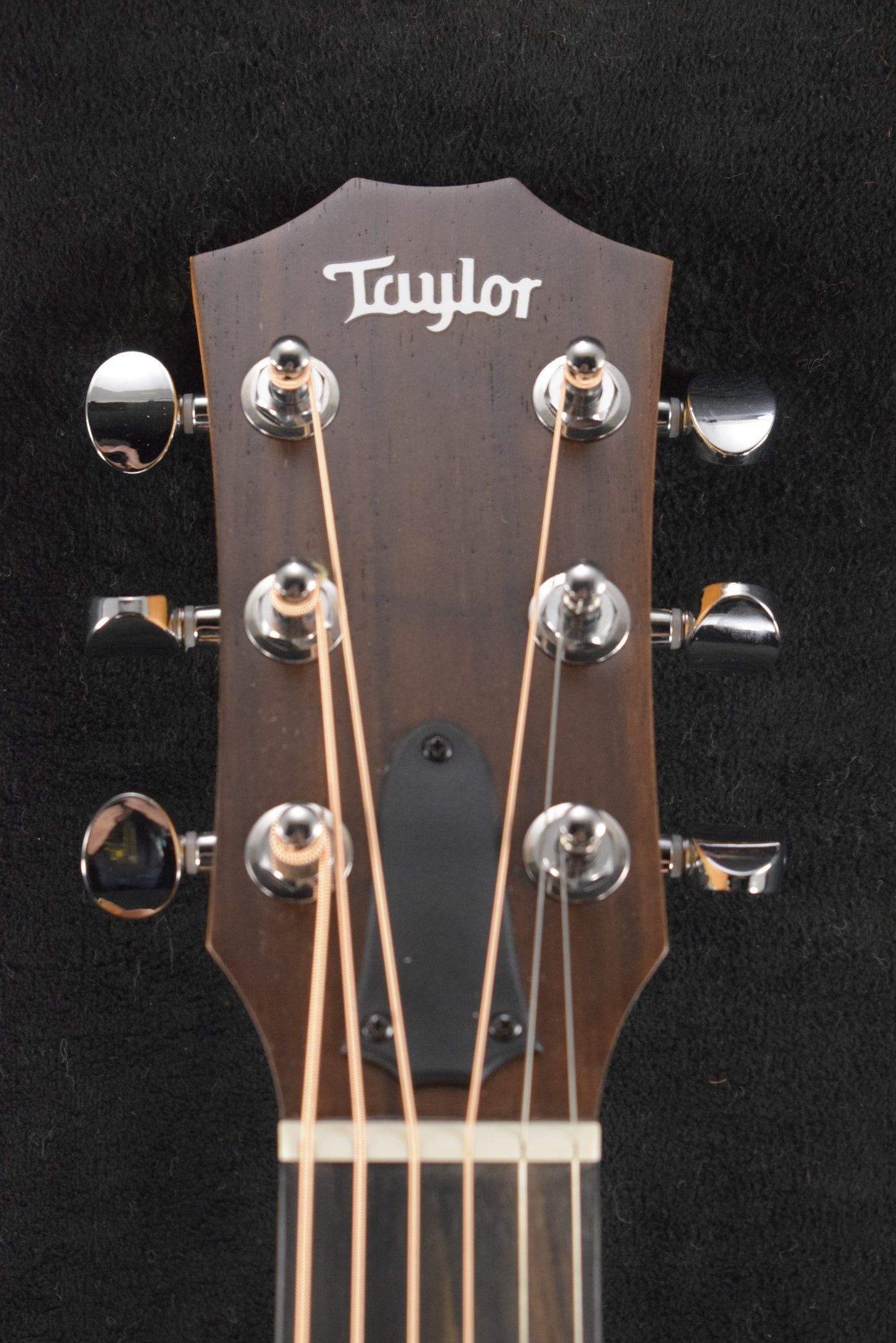 Taylor GS Mini