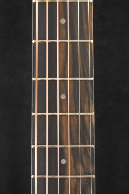 Taylor GS Mini
