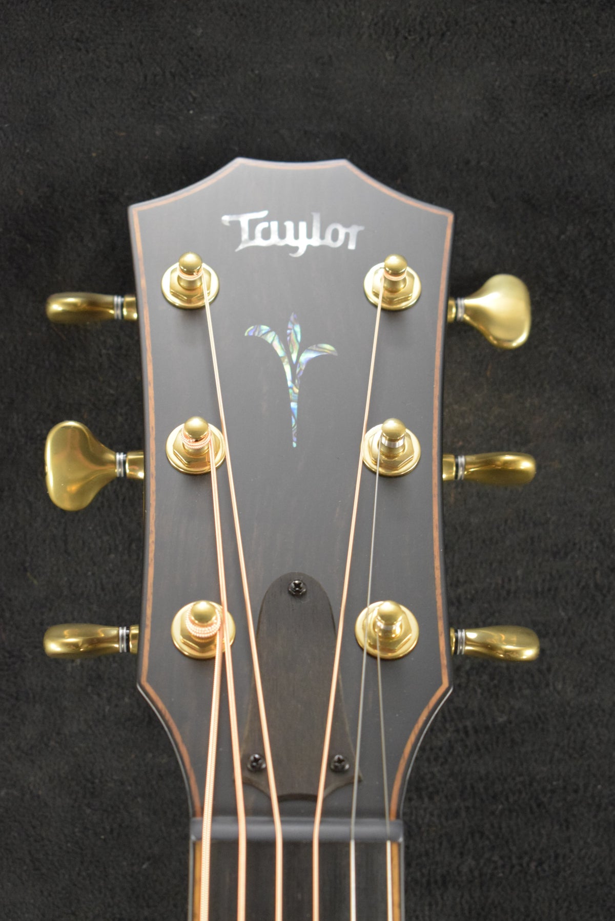 Taylor Next Generation Builder's Edition K24ce Kona Burst Gloss