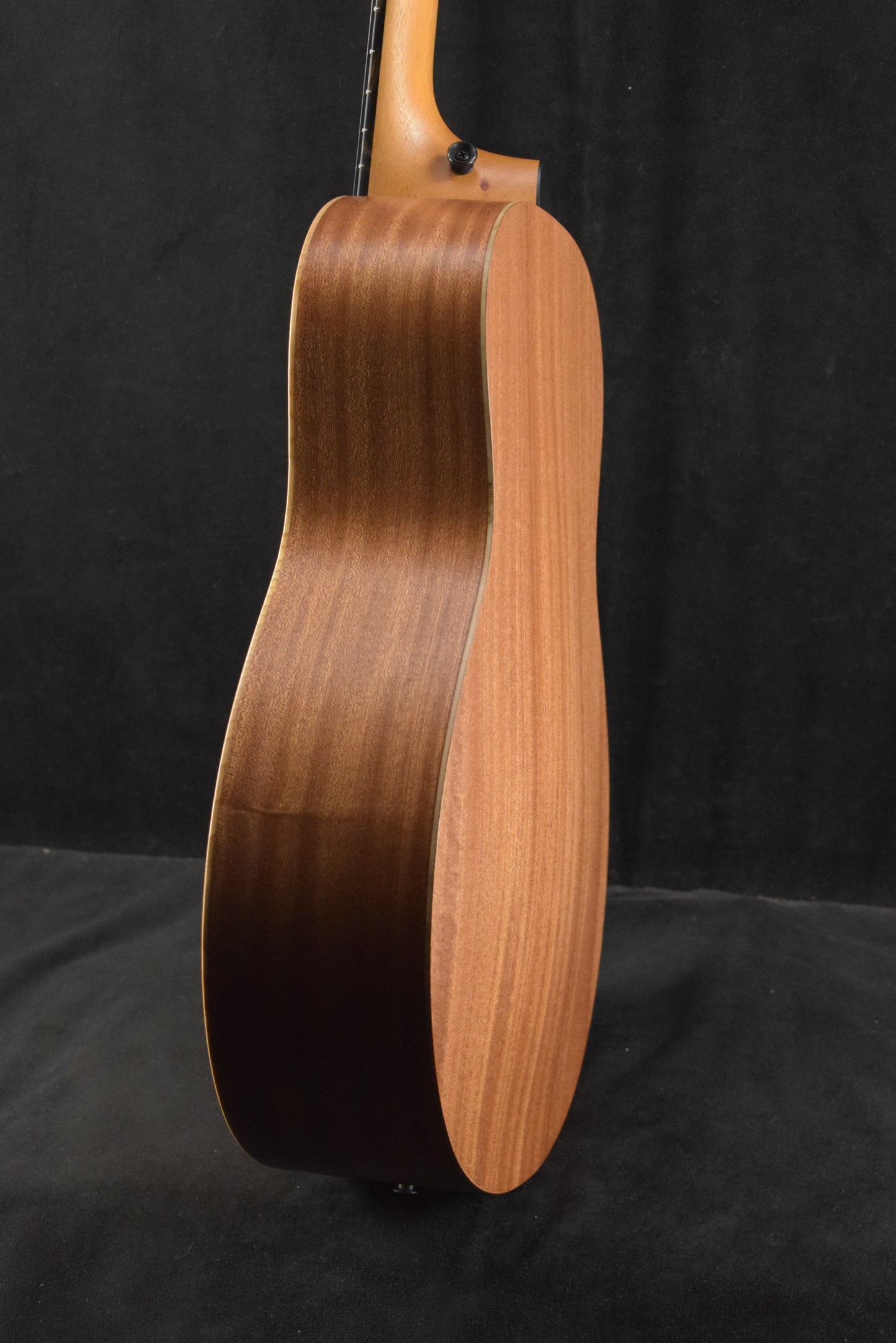 Taylor GS Mini