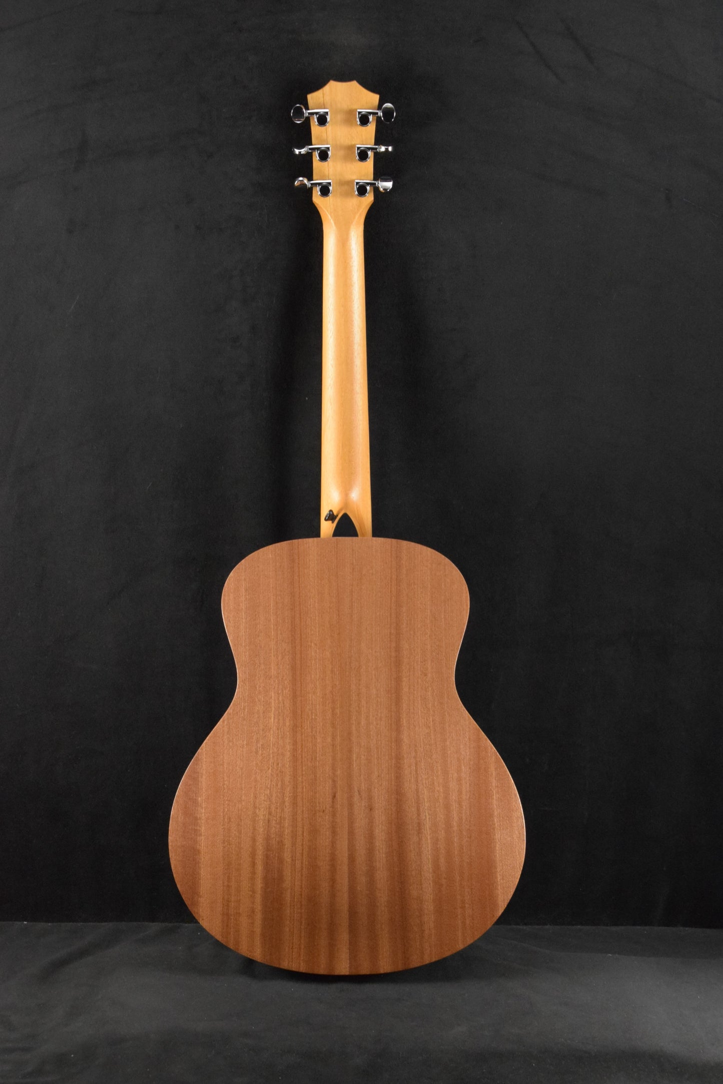Taylor GS Mini